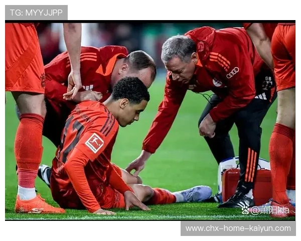 拜仁欧冠前景飙升？专家：复兴速度超预期