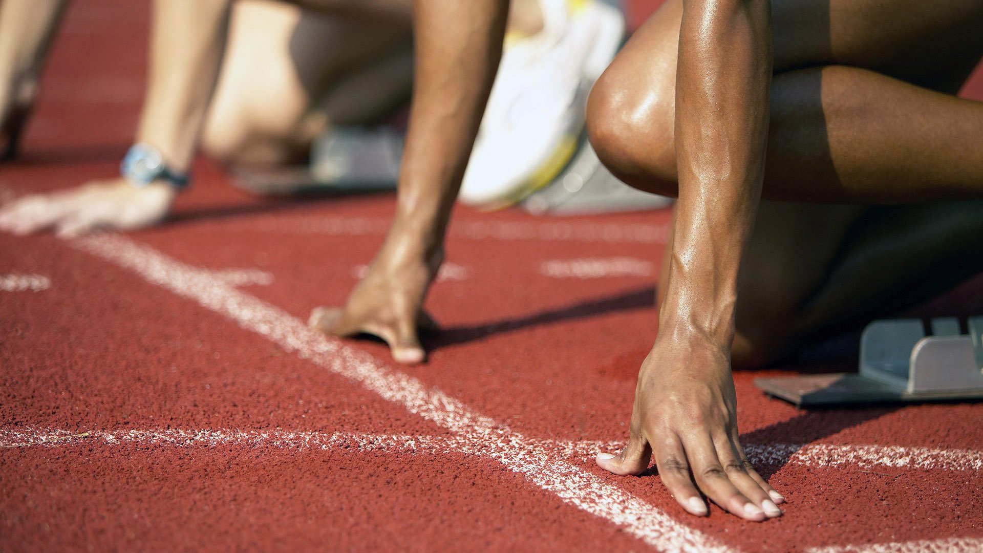 世界体育赛事日程公布